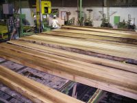 Western Red Cedar