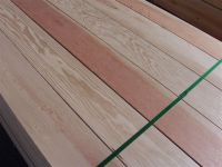 Douglas Fir