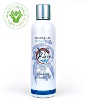 Eucalyptus Shampoo 250ml + 75ml