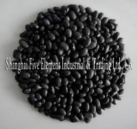 small black kidney beans
