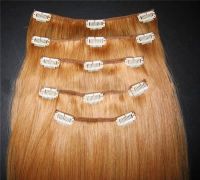 https://jp.tradekey.com/product_view/100-Remy-Human-Clip-On-Hair-Extension-1463351.html
