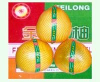 Guanxi pomelo