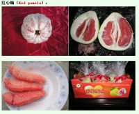 Red pomelo