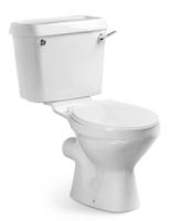 washdown two-piece closestool A2010