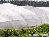 PE anti insect net/Insect proof net