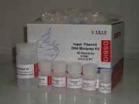 Yeast Plasmid DNA Miniprep Kit DNA Purification Kit
