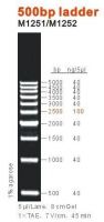 https://jp.tradekey.com/product_view/500bp-Dna-Ladder-1886139.html