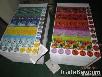 printed tinplate
