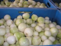 Hand peeled onions