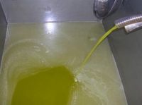 Extra Virgin Olive Oil,olives oil suppliers,olives oil exporters,olives oil manufacturers,extra virgin olives oil traders,spanish olive oil,