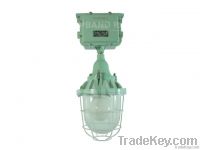 Explosion-proof Lights, 3years warranty, over 60, 000hours lifetime