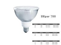 LED Spot Lamp