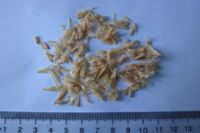 Dried Baby Shrimp