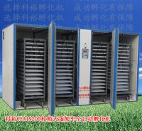 KEYU large  automatic incubator