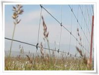 Grassland Fencing