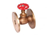 Bronze Globe Valve - Flanged