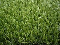 artifical turf & synthetic grass carpet