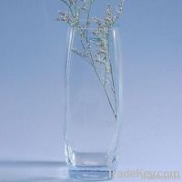 Decoration Glass Vase 46