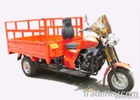 Cargo Tricycle