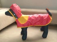 Pet raincoat