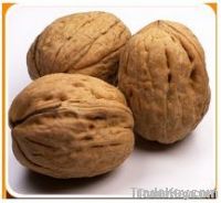 Pakistani Walnuts & pine nuts