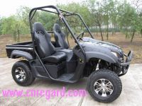 Electric UTV