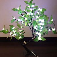 LED holidays lights