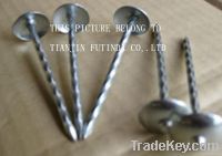 galvanised roofing nails