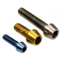 Titanium Screws with Anodizing