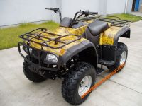 https://www.tradekey.com/product_view/Atv-250cc-With-Chain-Drive-3585.html