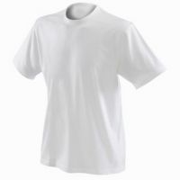 Men's Blank T-shirt