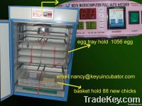 Small chicken automatic egg incubator from factory