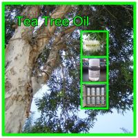 Farwell 100% Natural Tea Tree Oil, Kosher Certificate