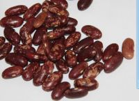 Red  speckled  kidney beans