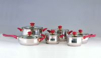 12 PCS  Stainless Steel Cookware Set