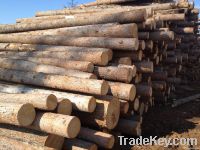 Round logs of pine, spruce, fir and larch