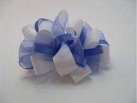 beautiful ribbon bow
