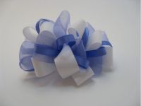 Beautiful Ribbon Bow