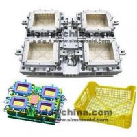Multi-cavity crate moulds China