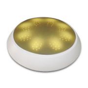 LED Ceiling Light