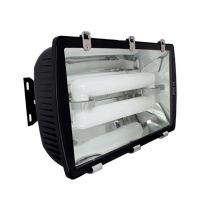 Induction Tunnel Light