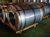 Stainless Steel Coil