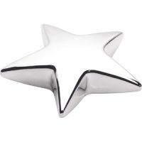 Star Desk Award Paperweight - Silver Plated