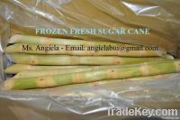 FRESH &amp; FROZEN SUGAR CANE/ SUGARCANE STICK