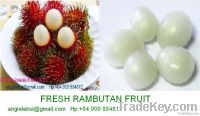 Fresh/ frozen litchi, rambutan, pomelo, dragon fruit, mango, durian