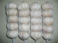 Fresh White Garlic 5p