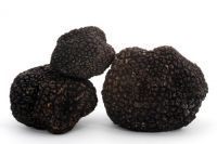 Fresh Black Truffles (Tuber Melanosporum)
