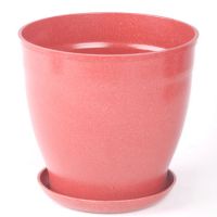 biodegradble pot