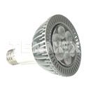 LED Par 30 Light