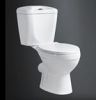 Two Piece Toilet (B-2830)